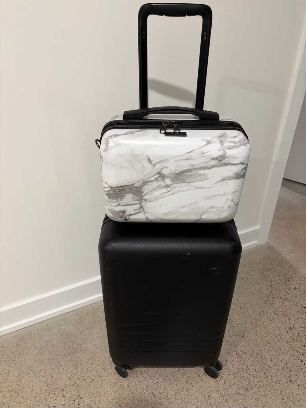 Calpak Hard marble cosmetics travel case